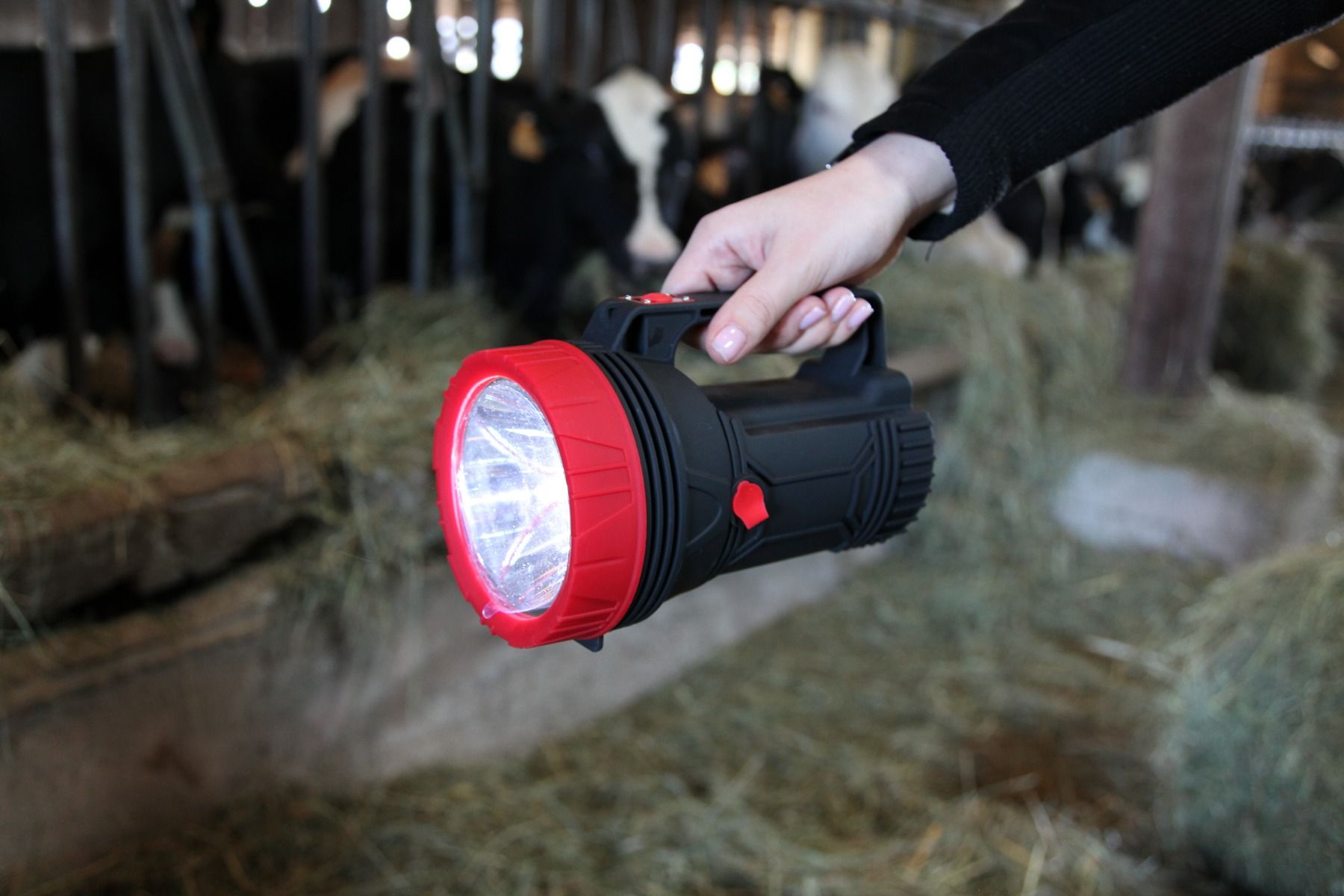 Lampe torche à LED professionnelle - Ukal