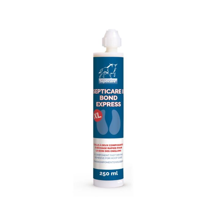 Adhesive 250 ml SEPTICARE II BOND EXPRESS XL