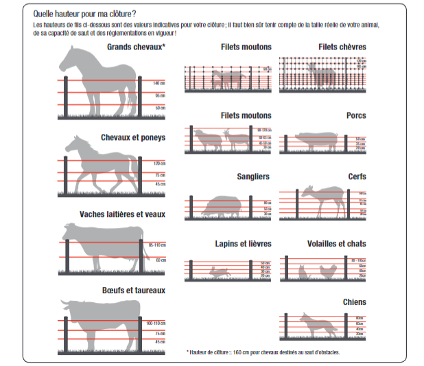 Matériel de clôture élctrique pour chevaux